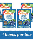 Happy Kid Squeeze Organic Superfoods Twist Organic Apple/Kale/Blueberry, 3.17 Ounce Pouches (Pack of 16)