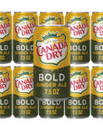 Canada Dry Ginger Ale 75 Oz Cans Pack of 10 Bold Ginger Ale with Bay Area Marketplace Napkins