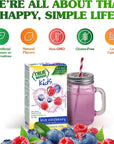 True Lemon Kids Blue Raspberry  Hydration for Kids  No Preservatives No Artificial Flavors No Artificial Sweeteners  Low Sugar Water Flavoring  Drink Mix for Kids  Kids Juice Powdered Drink Mix 10 countpack of 1