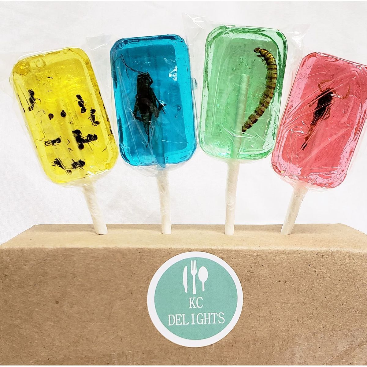 Insect Sucker Lollipop Bundle  Pack of 4  Scorpion Ants Cricket And Worm  Flavors Vary  With Licensed Sticker