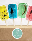 Insect Sucker Lollipop Bundle  Pack of 4  Scorpion Ants Cricket And Worm  Flavors Vary  With Licensed Sticker