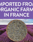 FGO Organic Dried Lavender Flowers, 100% Raw From France, 4oz (Pack of 1)