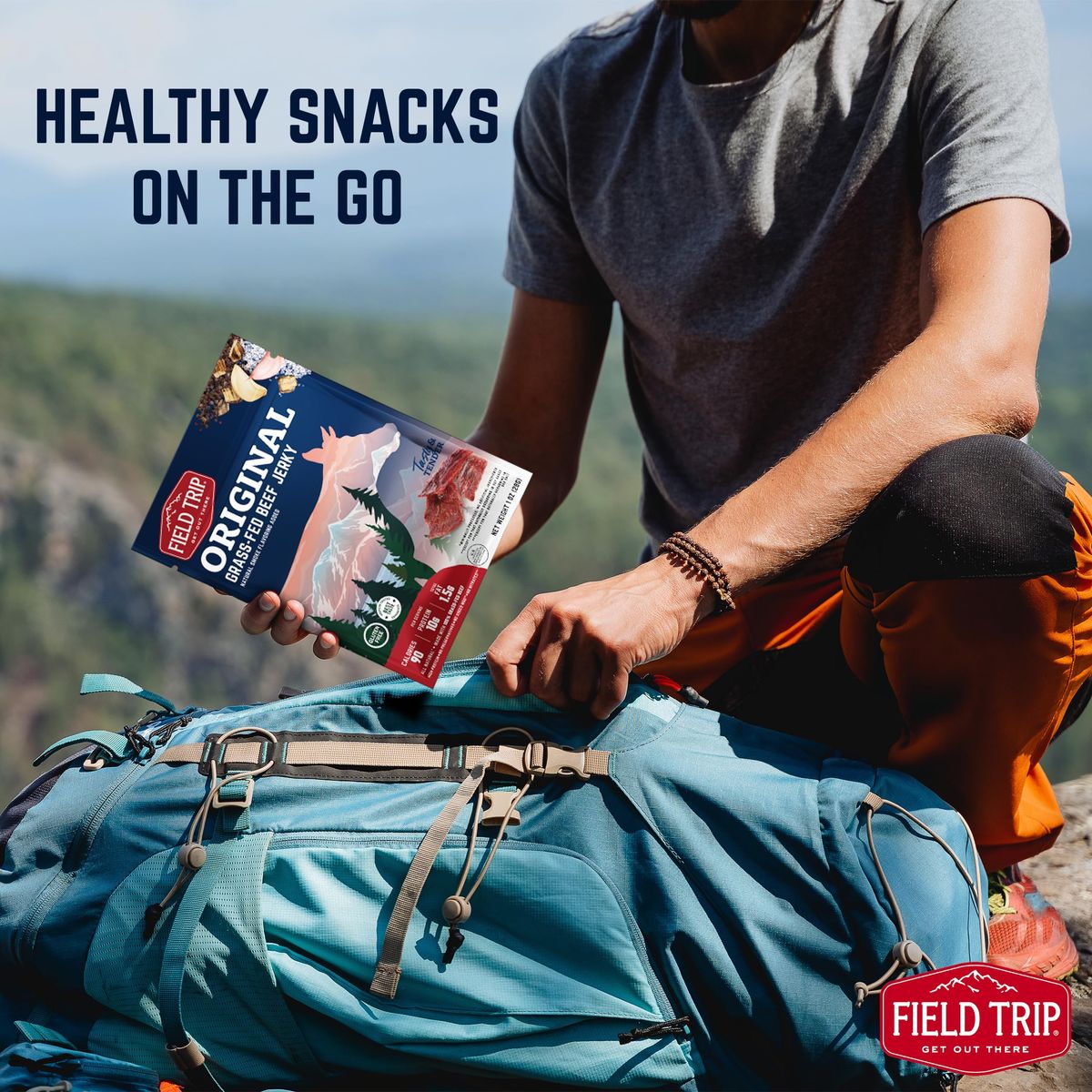 Field Trip Grass Fed Beef Jerky Variety Pack Healthy Gluten Free Snacks All Natural PaleoFriendly Meat Snacks with No Nitrates Low Carb High Protein Snacks 22oz Bag 4 Pack