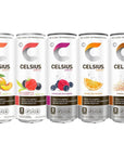 CELSIUS Fitness Drink 9Flavor Variety Pack Zero Sugar Slim Can 12 Fl Oz Pack of 12