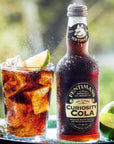 Fentimans Sparkling Curiosity Cola  Healthy Soda All Natural Soda Craft Soda with No Artificial Flavors Preservatives or Sweeteners Botanically Brewed  Curiosity Cola 275 ml Pack of 12