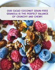 Julie's Real Gluten Free Granola, Certified Non-GMO, Grain Free, Whole Food, Paleo, Peanut Free, Crunchy and Chewy Natural Protein Granola with Cacao and Coconut, Made In USA, 3 Pack 7 Oz Each