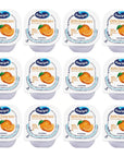 Ocean Spray Fruit Juice Cups 12 count Orange