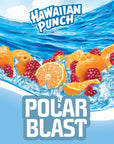 Hawaiian Punch Polar Blast Fruit Juice Drink 10 Fl Oz Bottles 24 Count 4 Packs Of 6 Readytodrink Onthego Caffeinefree Carbonationfree Glutenfree Excellent Source Of Vitamin C