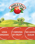 Apple  Eve Sesame Street Organics Big Birds Apple Juice 423 Fluid oz 40 count