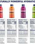 GoodSport Electrolyte Sports Drink - 16.9 Fl Oz (Pack of 12)