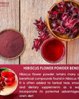 FreshDrinkUS Premium 28oz Hibiscus Flower Powder 100 Natural and Pure from Hibiscus Flowers Natural Food Coloring Hibiscus Flowers Tea No Additives No Gluten No Sugar Vegan