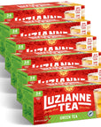 Luzianne Green Tea Bags Family Size 24ct Box Pack of 6