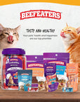 Beefeaters Cat Treat  Chicken Fillet Recipe Shreds 141oz Case of 12  Real Cat Food No SugarSoyCornWheat  High Protein  Taurine  Training Treats  No Artificial Additives