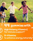 Emergen-C Kidz Daily Immune Support Dietary Supplements, Flavored Gummies with Vitamin C and B Vitamins, Fruit Fiesta Flavored Gummies - 44 Count