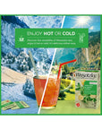 Wissotzky Nana Mint  Lemon Fusion Herbal Tea 6 Pack 120 Tea Bags  Invigorating Blend  Caffeine Free Tea  Digestive Support