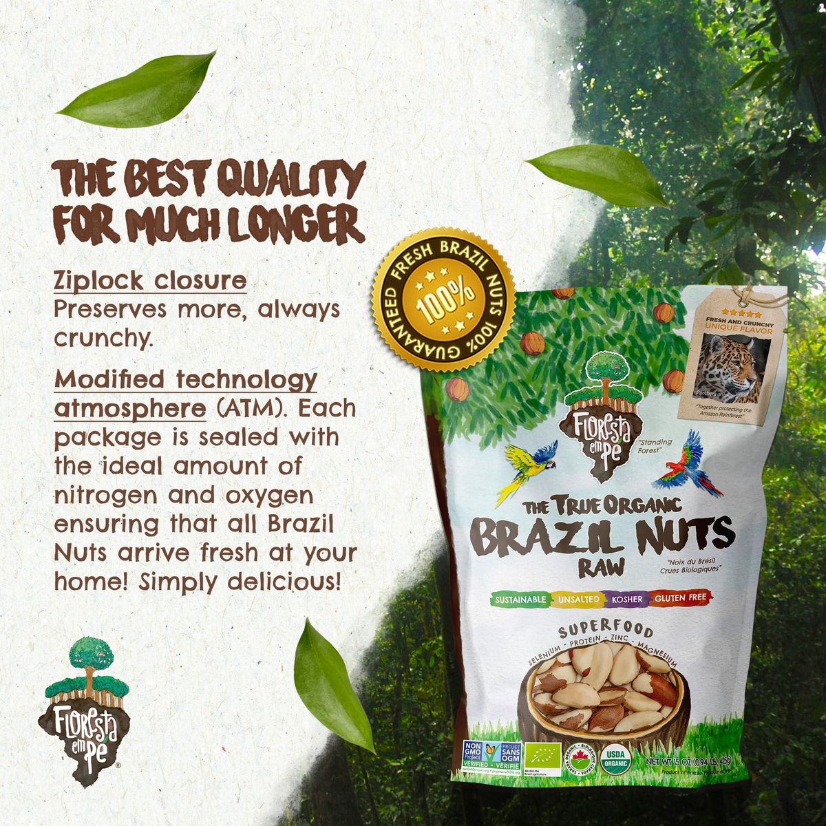 Floresta em Pé The True Organic Premium Brazil Nuts (15oz) Raw &amp; Unsalted | Kosher | Non-Gmo | Certified Organic | Fresh | Vegan | Gluten Free | Keto &amp; Paleo Friendly | Sustainably Harvested