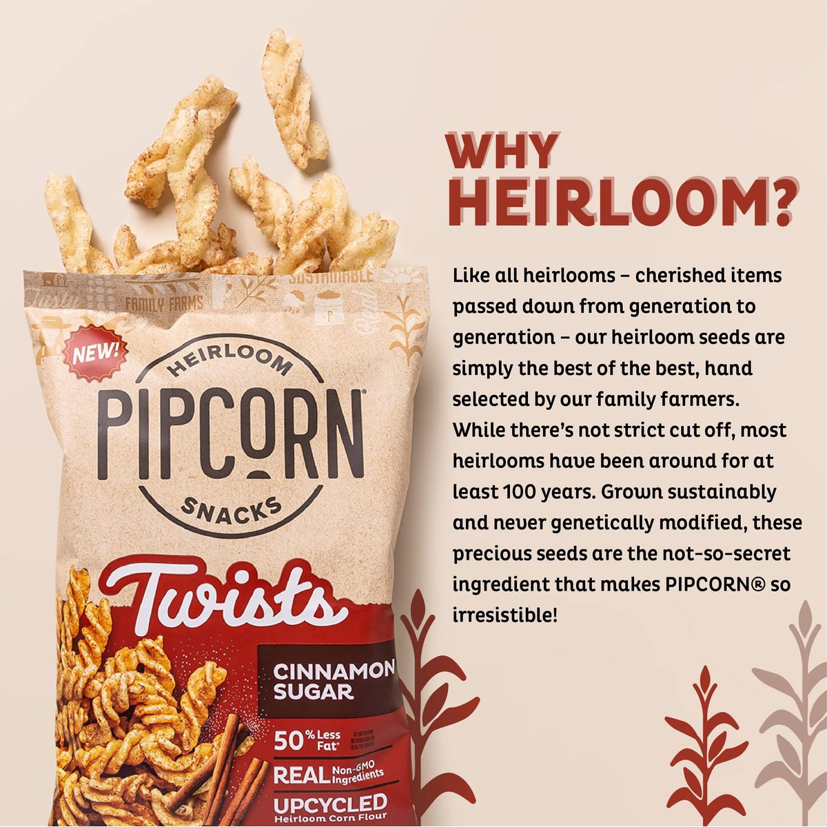 Heirloom Cinnamon Sugar Twists by Pipcorn  1oz 24pk  Healthy Snacks Gluten Free Snacks Snack Packs Upcycled Heirloom Corn Flour