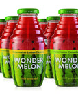 Wonder Melon Organic Watermelon Juice Cold Pressed Variety 6 Pack 3 Watermelon with Basil Cucumber  3 Watermelon with Lemon Cayenne