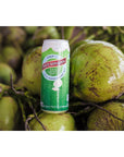 Taste Nirvana Real Coconut Water Coco Pulp with Tender Coconut Bits 162 Fl Oz Pack of 12