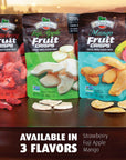 Brothers All Natural Fuji Apple Freeze Dried Fruit Crisps Gluten Free NonGMO Nothing Added 1 oz Resealable Pouch Pack of 8