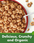 Cascadian Farm Organic Cinnamon Oat Clusters Breakfast Cereal Made With Whole Grain NonGMO 15 oz