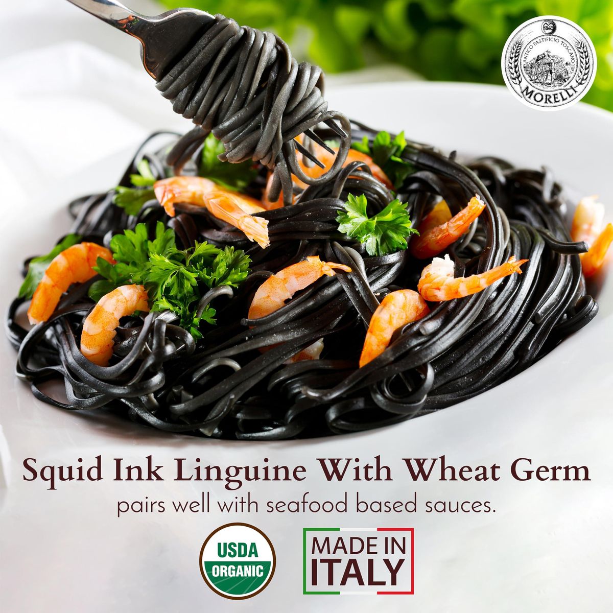 Morelli Squid Ink Pasta Linguine- Organic Italian Pasta - Black Pasta Noodles - Durum Wheat Semolina - Nero Di Seppia Made in Italy - 8.8oz / 250g (pack of 4)