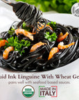 Morelli Squid Ink Pasta Linguine- Organic Italian Pasta - Black Pasta Noodles - Durum Wheat Semolina - Nero Di Seppia Made in Italy - 8.8oz / 250g (pack of 4)