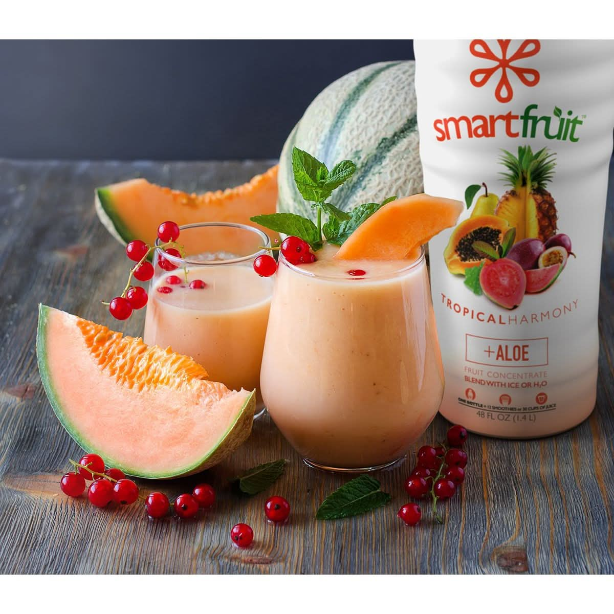 Smartfruit Tropical Harmony  Aloe 100 Real Fruit Purée NonGMO No Additives Vegan  48 Fl Oz  2 Pack