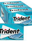 Trident Wintergreen Sugar Free Gum, 12 Packs of 14 Pieces (168 Total Pieces)