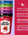 Wiley Wallaby Licorice 10 Ounce Classic Gourmet Australian Style Soft  Chewy Licorice Candy Variety Pack Twists 6 Pack