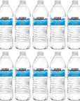 Blue Ribbon Kirkland Signature Purified Drinking Water 169 Fl Oz Pack of 10 Total of 169 Fl Oz