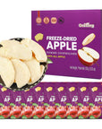 ONETANG FreezeDried Fruit Apple Chips 10 Pack SingleServe Pack Non GMO Kosher No Add Sugar Gluten free Vegan Holiday Gifts Healthy Snack 035 Ounce