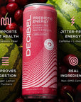 DECIBEL Prebiotic Energy Drink  Healthy Functional Energy Supports Gut Health and Digestion with 5g of Prebiotic Fiber No Added Sugar No Artificial Ingredients Variety 12 Cans