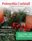 Frozen Holiday Cocktail Drink Mix - 3 Pack