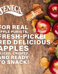 Seneca Cinnamon Apple Chips | Made from Fresh Apples | 100% Red Delicious Apples | Yakima Valley Orchards | Real Cinnamon | Crisped Apple Perfection | Foil Fresh Bag | 0.7 ounce (Pack of 24)