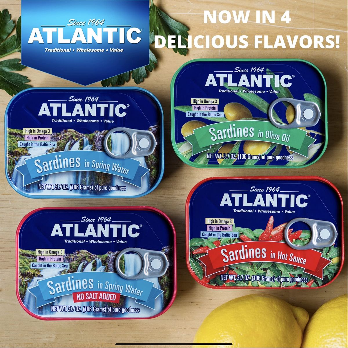 ATLANTIC  Wild Caught Sardines Keto  Paleo Friendly Total 148oz Four Cans Olive Oil