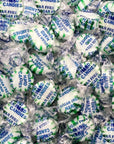 SugarFree Starlight Mints  Spearmint Hard Candy  1Pound Pack  Individually Wrapped