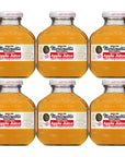 Martinellis Gold Medal 100 Apple Juice 10oz Glass Bottle Pack of 6 Total of 60 Oz