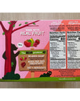 Bear Fruit Rolls Strawberry & Raspberry Variety Pack 48 rolls