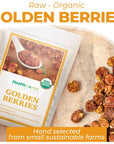 Healthworks Golden Berries (16 Ounces / 1 Pound) | Raw | Certified Organic & Sun-Dried | Gooseberries | Keto, Vegan & Non-GMO | Salads & Smoothies | Antioxidant Superfood