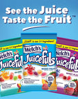 Welch's Juicefuls Juicy Fruit Snacks, Mixed Fruit, Berry Blast & Island Splash Fruit Gushers Variety Pack, Perfect Stocking Stuffer for Kids, Gluten Free, 4 Oz Sharing Size Bags (Pack of 3)