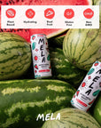 Mela Water Watermelon Juice Drink Electrolytes  Antioxidants Refreshing Hydration Coconut Water Alternative Vitamin C Natural Variety 1115 Fl Oz Pack of 12