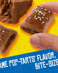 PopTarts Baked Pastry Bites Kids Snacks School Lunch Frosted Chocolatey Fudge 7oz Box 5 Pouches