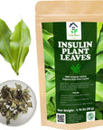 Dried Insulin Plant Leaves 176 oz 50g Natural Costus Igneus Organic Herbal Tea For Sugarfree and Controls Sugar with 50 Cups  Lanka Flavors Feel Different