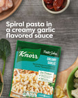 Knorr Pasta Sides Creamy Garlic For Delicious Quick Pasta Side Dishes No Artificial Flavors No Preservatives 44 oz