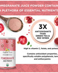 Organic Veda Pomegranate Juice Powder  Powdered Pomegranate Extract Rich in Vitamin C Folate  Potassium  Pomegranate Concentrate For Salad Yogurt Ice Cream  Vegan NonGMO Zero Gluten 8oz