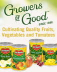 DEL MONTE DELUXE GOLD Pineapple Chunks in 100 Pineapple Juice Canned Fruit 12 Pack 20 oz Can