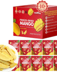 ONETANG FreezeDried Fruit Mango Chips 10 Pack SingleServe Pack Non GMO Kosher No Add Sugar Gluten free Vegan Holiday Gifts Healthy Snack 035 Ounce