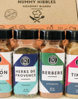 Global Spice Collection Gift Set - Nummy Nibbles World Traveler 4-Pack Herb, Spice & Seasoning Blends - No Salt, No Sugar, Whole30 Compliant, Vegan, Keto, Paleo