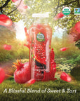 Heaven  Earth 100 Pure Organic Pomegranate Juice 1115oz 6 Pack NO Concentrate Cold Pressed Non GMO Verified No Sugar Added No Preservatives